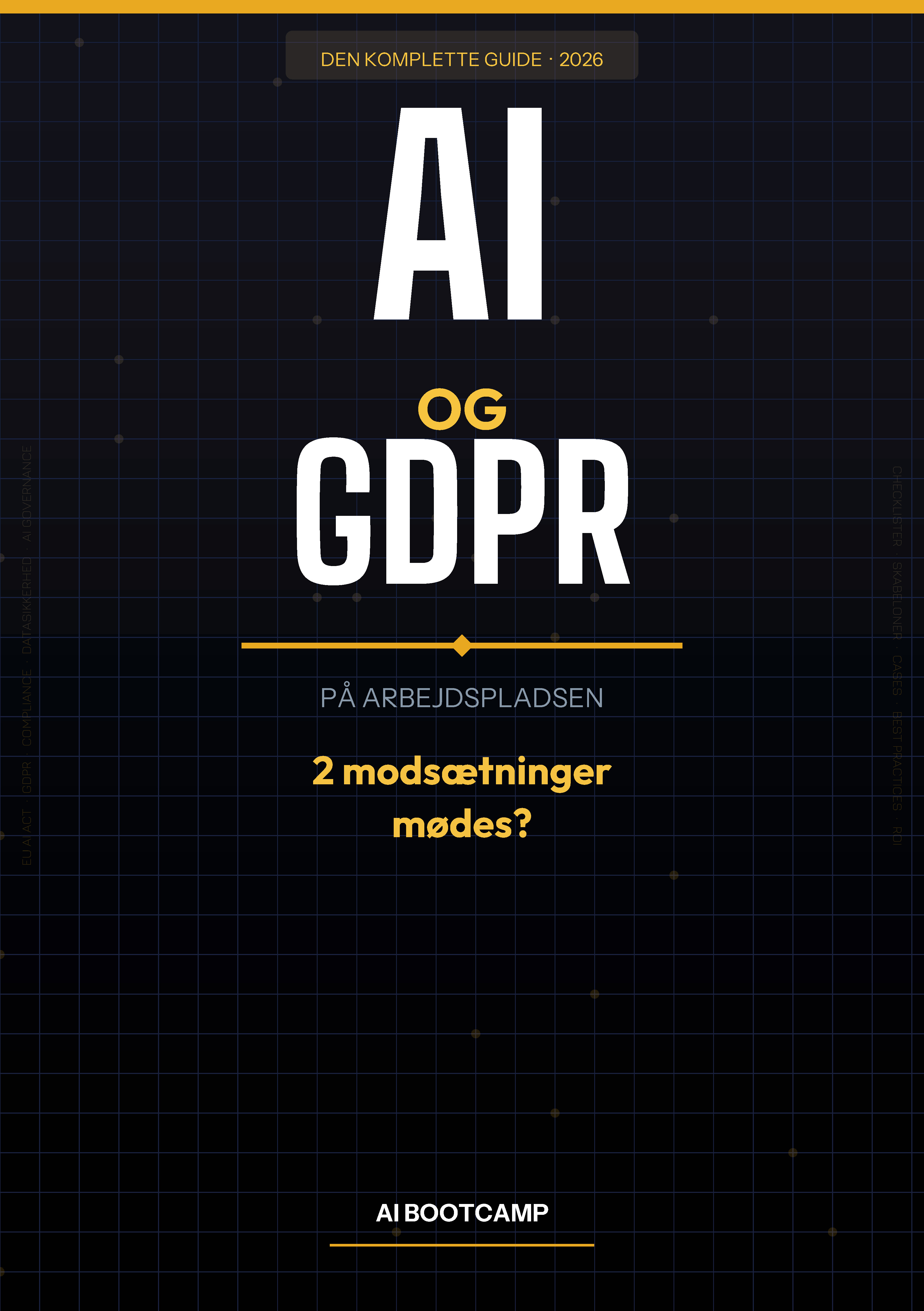 AI og GDPR på arbejdspladsen — E-bog